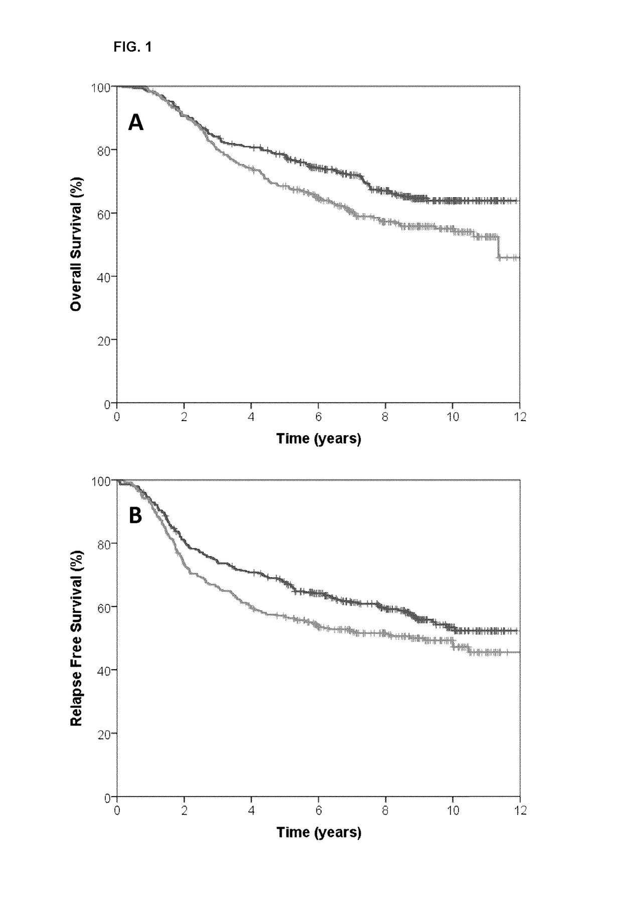 Methods and devices for predicting anthracycline treatment efficacy