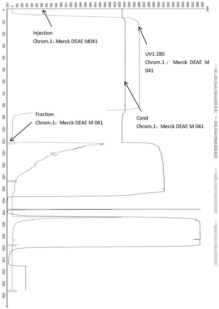 Purification method suitable for large-scale plasmid DNA production