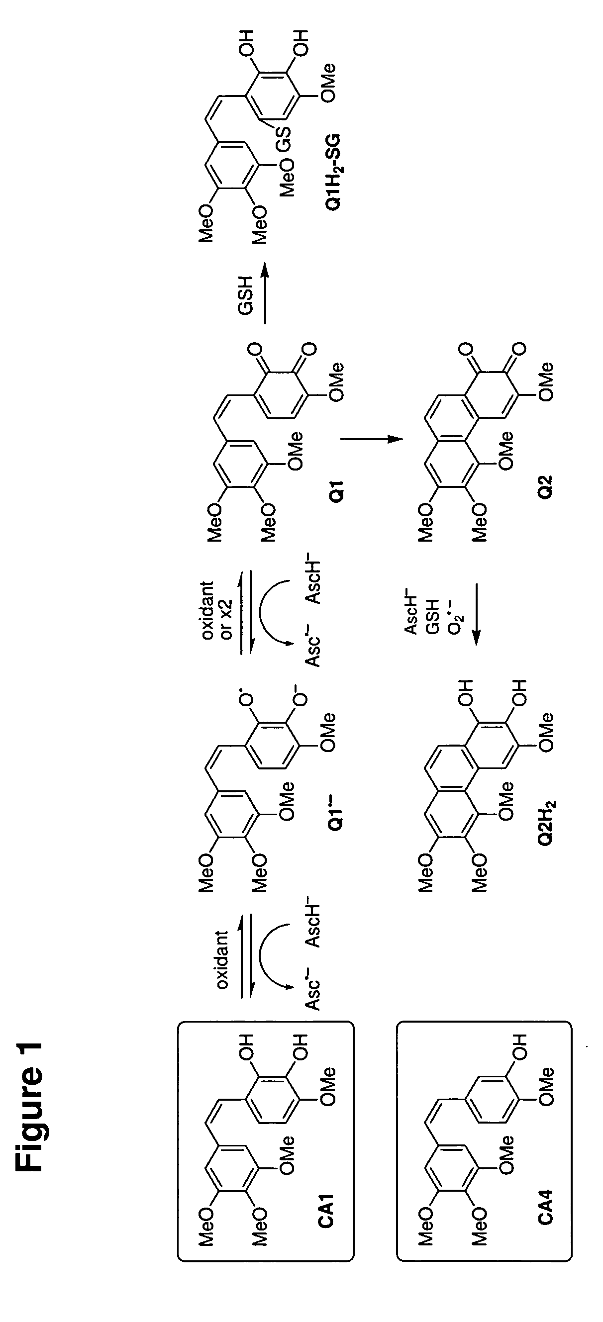 Compositions and Methods With Enhanced Therapeutic Activity