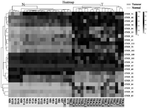 Application of the DNA-binding site CTCF_33 of the multifunctional transcriptional regulator CTCF