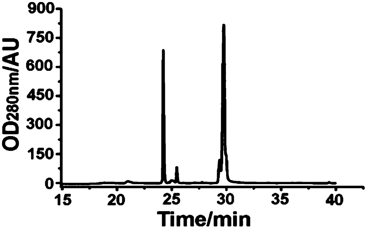 Latrodectus tredecimguttatus egg granule protein with anti-breast cancer activity, and preparation method and application thereof