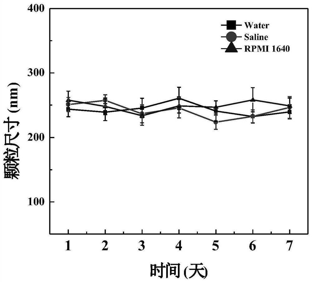 Reduction response type carbon dot drug-loaded nanocluster coated with cell membrane, and preparation and application of reduction response type carbon dot drug-loaded nanocluster