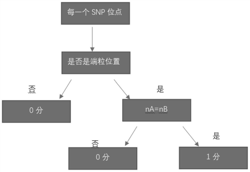 A gene scar characterizing HRD homologous recombination repair defect and its identification method