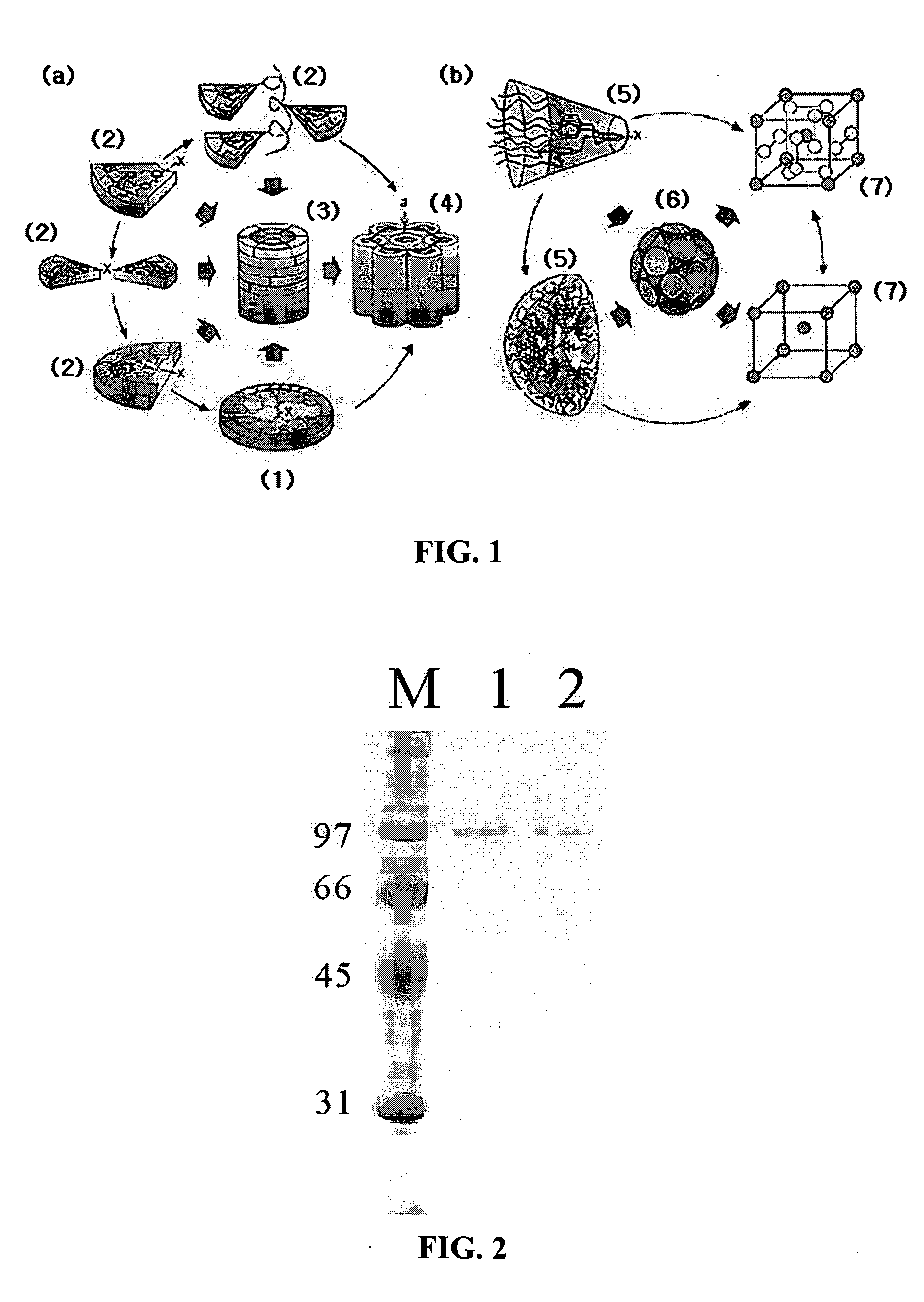 Method for preparing a water-soluble carbon nanotube wrapped with self-assembly materials