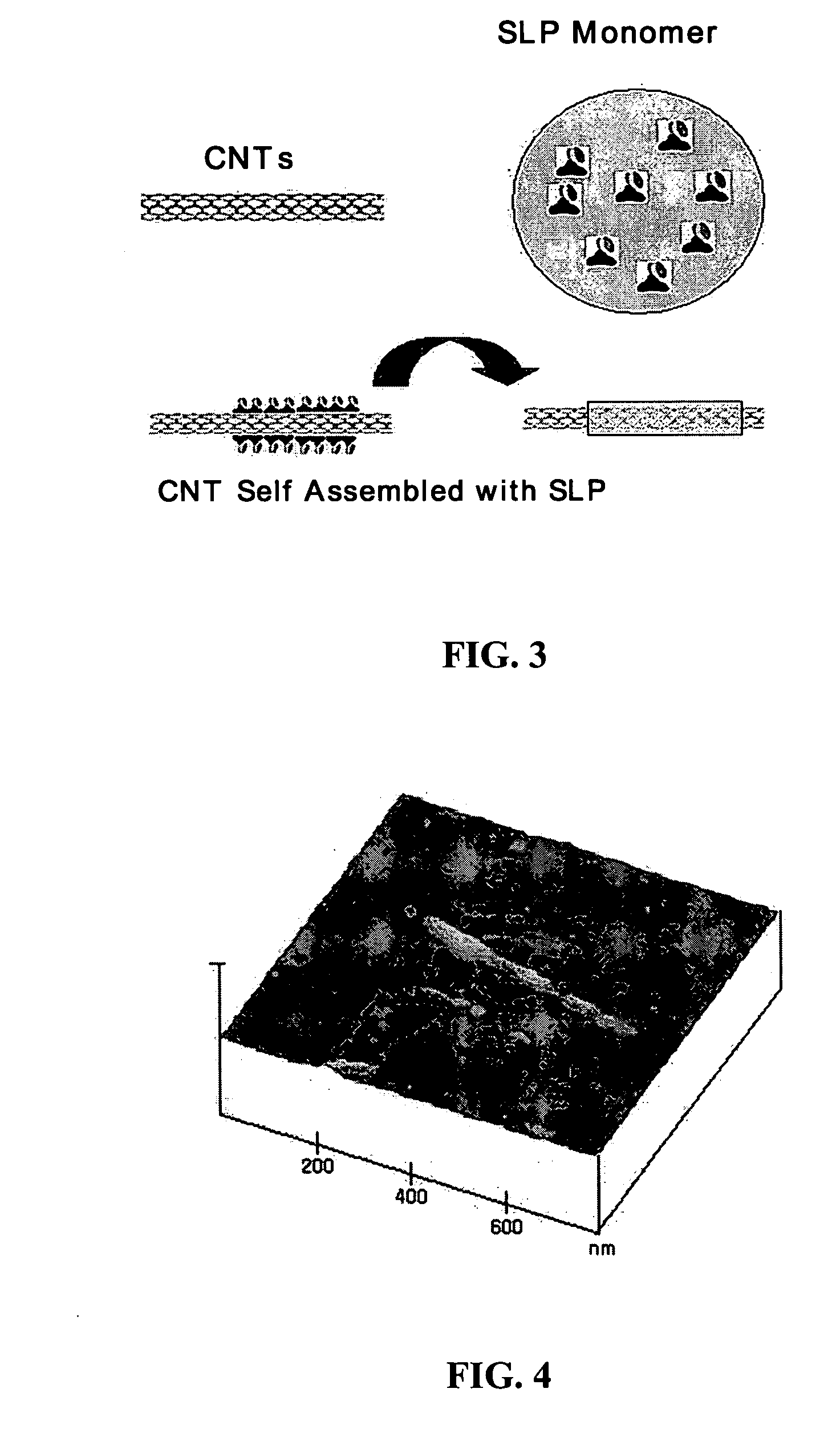 Method for preparing a water-soluble carbon nanotube wrapped with self-assembly materials
