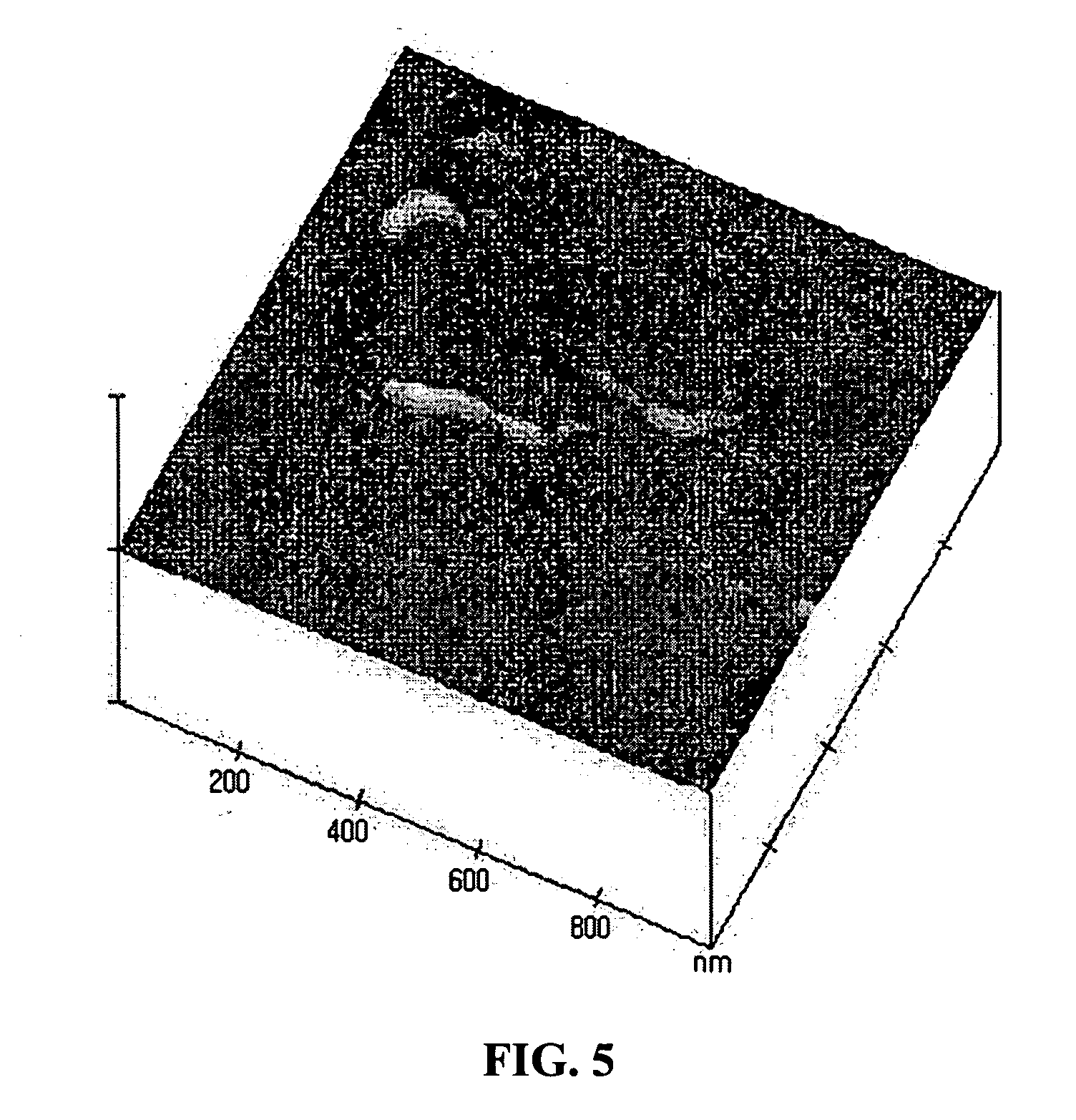 Method for preparing a water-soluble carbon nanotube wrapped with self-assembly materials