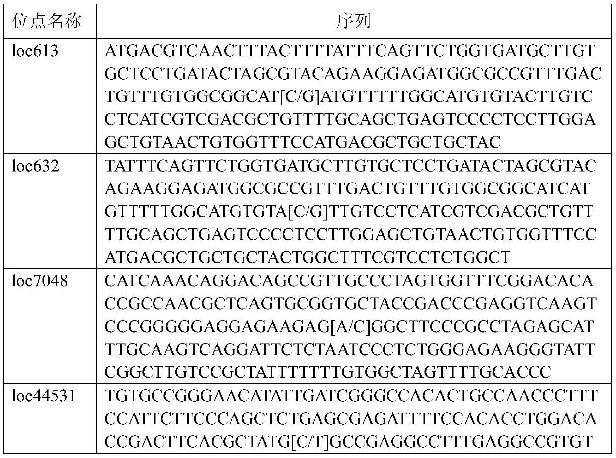 Epstein-Barr virus typing kit based on mutation site detection