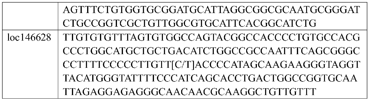 Epstein-Barr virus typing kit based on mutation site detection