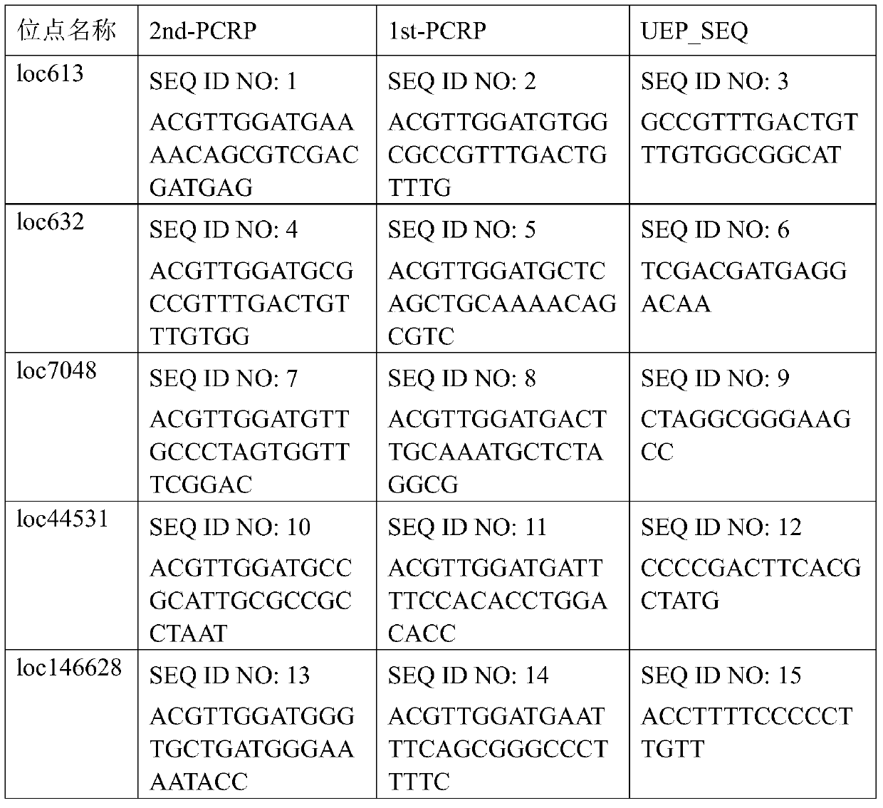 Epstein-Barr virus typing kit based on mutation site detection