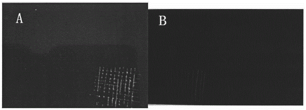 High-covering black UV silkscreen printing ink