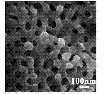 SnO2 three-dimensional porous photon amorphous semiconductor material and preparation method thereof