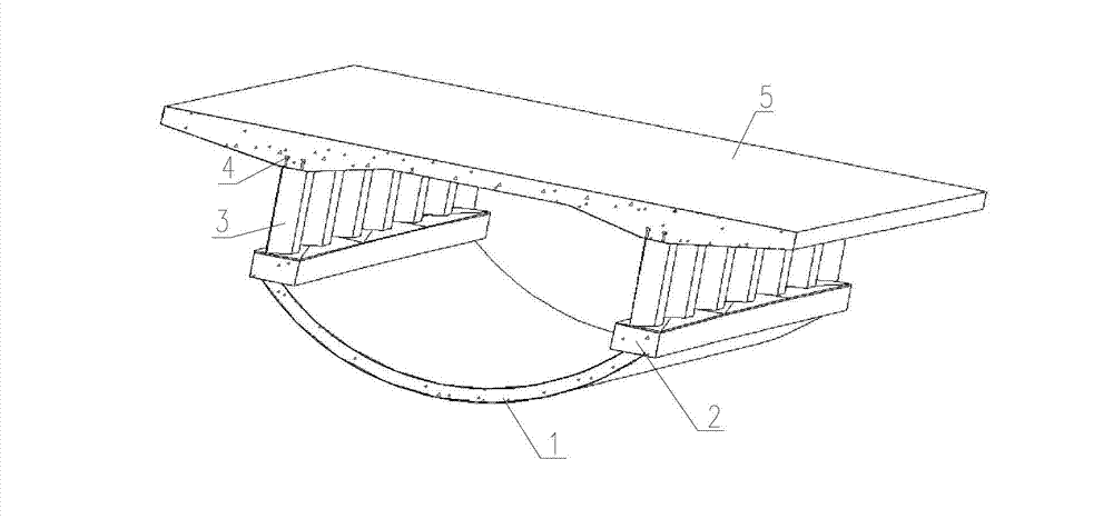 Assembly type saddle-shell-shaped bottom plate continuous box girder bridge and construction method thereof