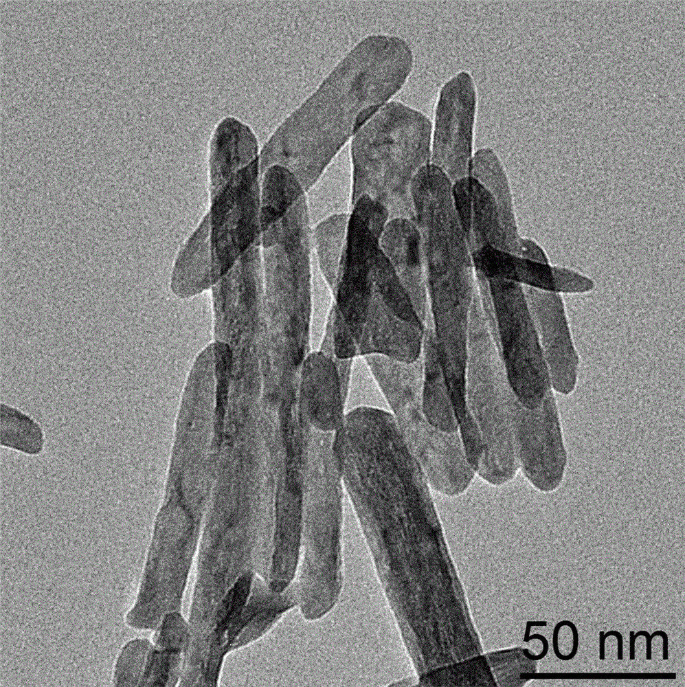 Method for preparing gadolinium hydroxide nanorod with cerebral glioma targeting function