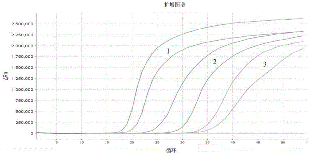 Nucleic acid amplification reaction mixture particle and application thereof