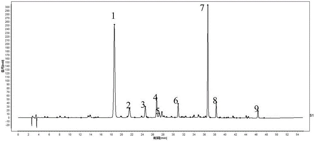 Construction method of rheum lhasaense fingerprint spectrum and standard fingerprint spectrum of rheum lhasaense