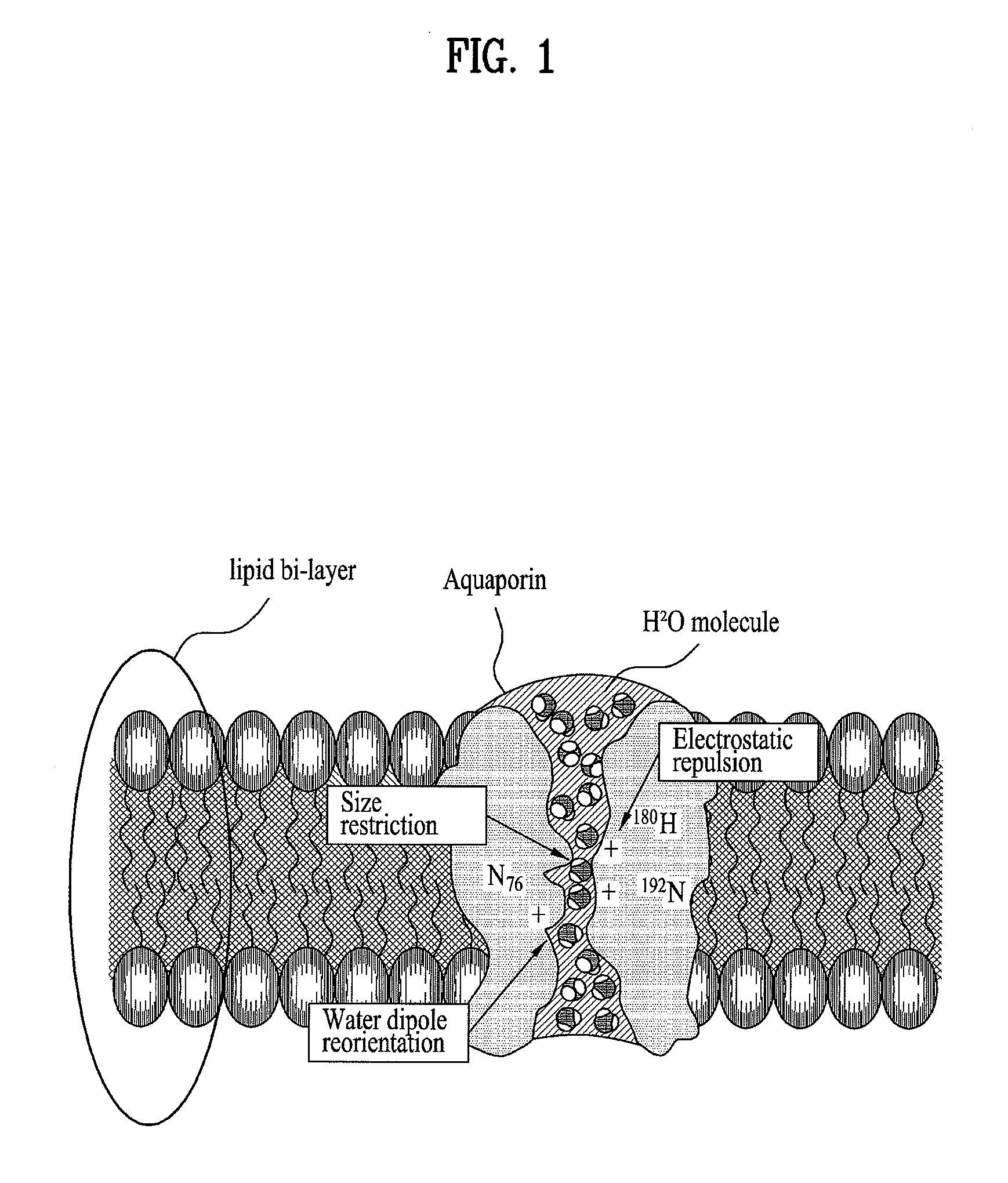 Water purifying filter and method for fabricating the same