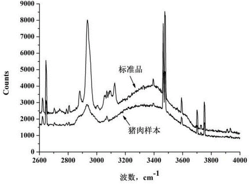 Method for quickly detecting delicious substance inosinic acid in raw and fresh pork based on Raman spectrum