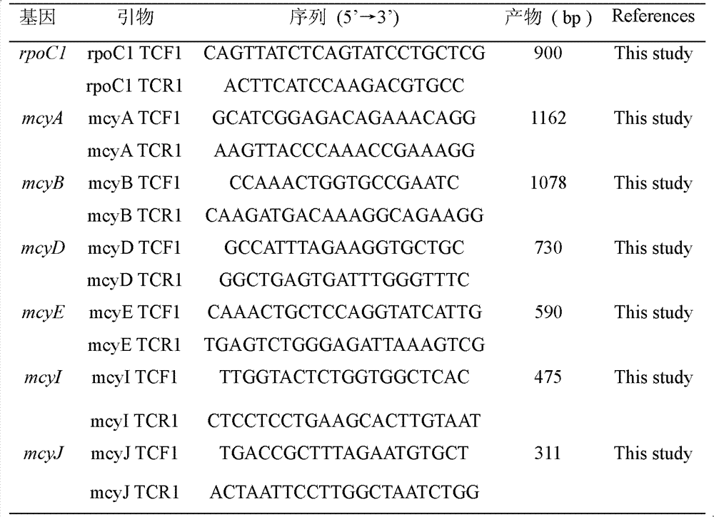 Specific multiple PCR (polymerase chain reaction) detection method and kit for toxigenic microcystis and kit therefor