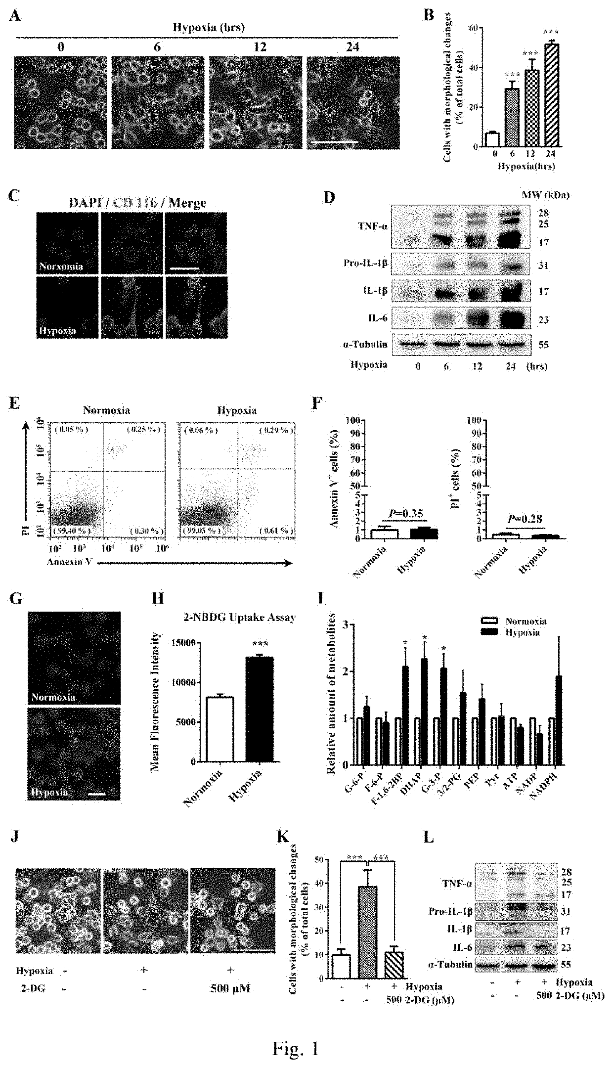 Hexokinase 2-specific inhibitor in acute central nervous system injury disease