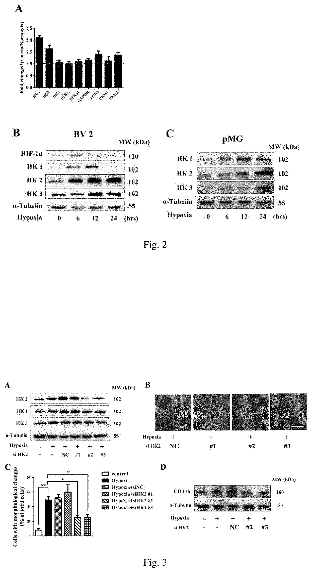 Hexokinase 2-specific inhibitor in acute central nervous system injury disease