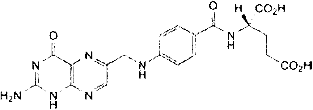 A kind of folic acid solid dispersion and preparation method thereof