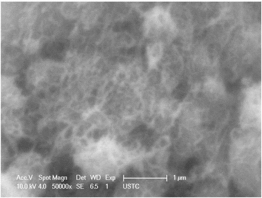 Carbon nanotube supported catalyst and preparation method thereof as well as application of carbon nanotube supported catalyst in low-temperature catalytic oxidation of CO