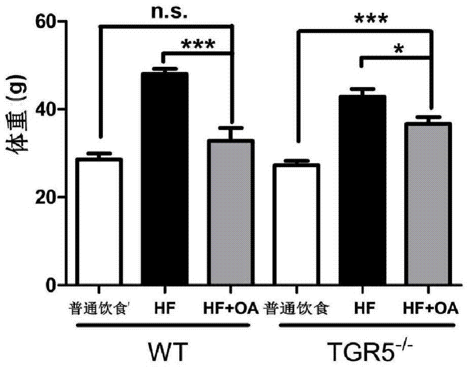 Application of oleanolic acid in preparation of medicine for treating obesity