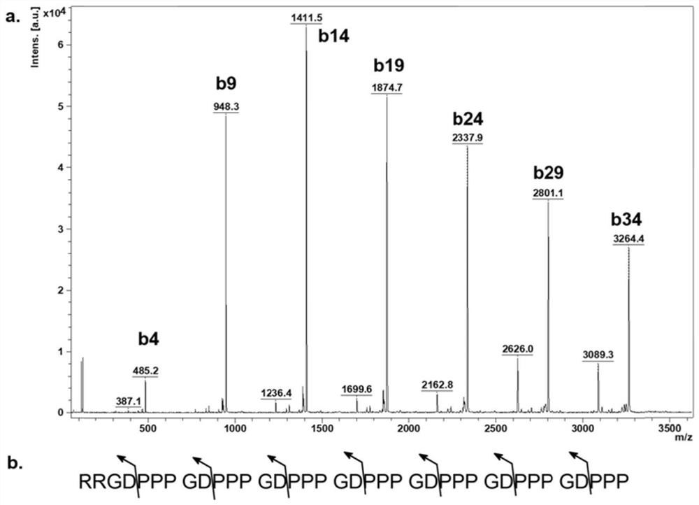 Compound as well as mass spectrum standard substance and calibration substance thereof