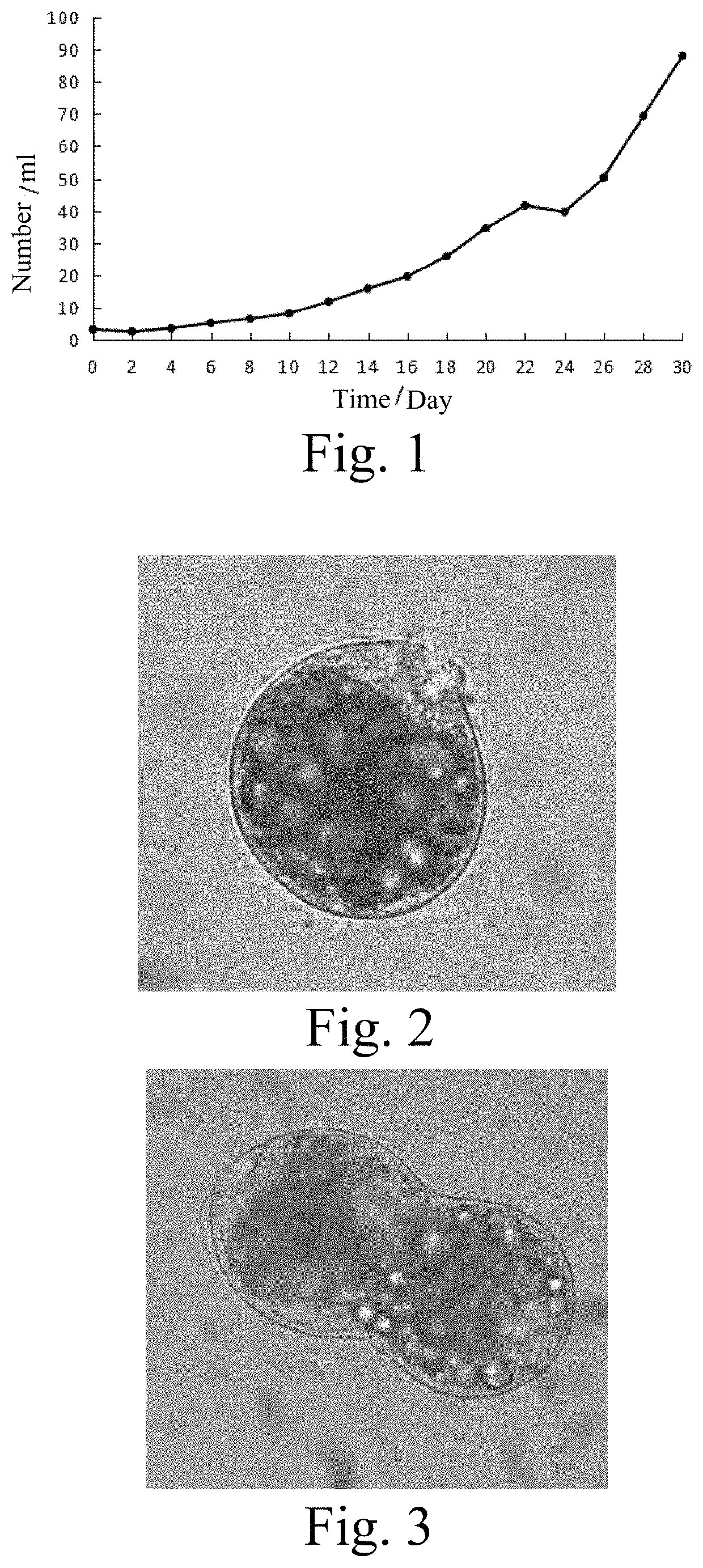Medium for culturing Balantidium ctenopharyngodoni in vitro, method for preparing the medium and method for culturing Balantidium ctenopharyngodoni in vitro