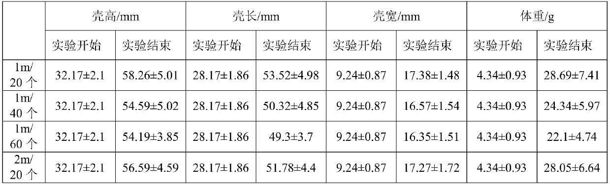 Culturing method capable of promoting growth of chalmys nobilis