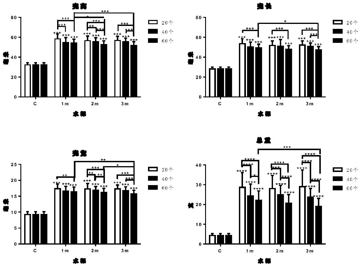 Culturing method capable of promoting growth of chalmys nobilis