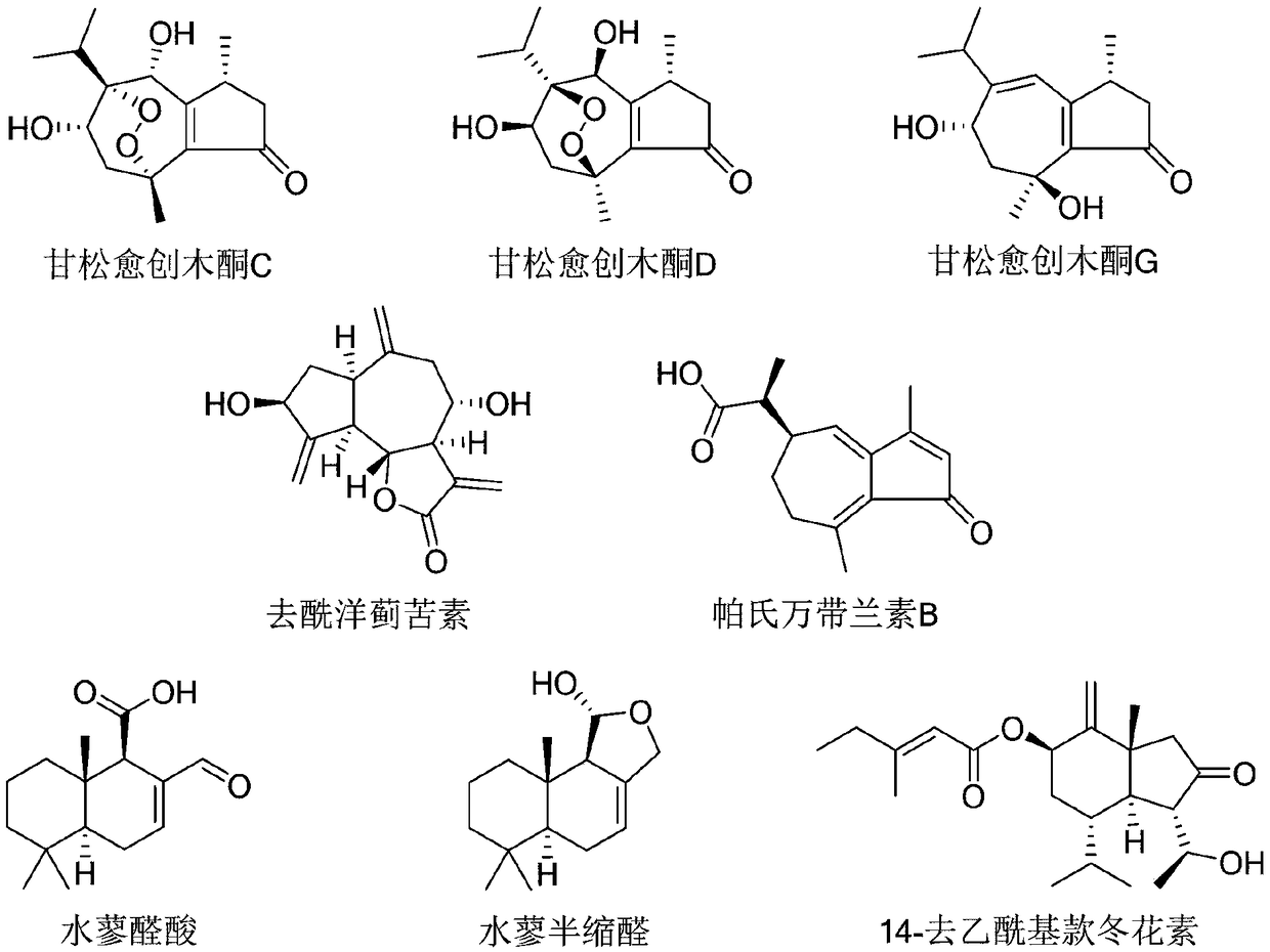 Use of polygonum hydropiper aldehyde compounds as acid sphingomyelinase inhibitor