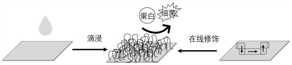 A preparation method and application of silica surface modified by cyclic phosphorylcholine polymer