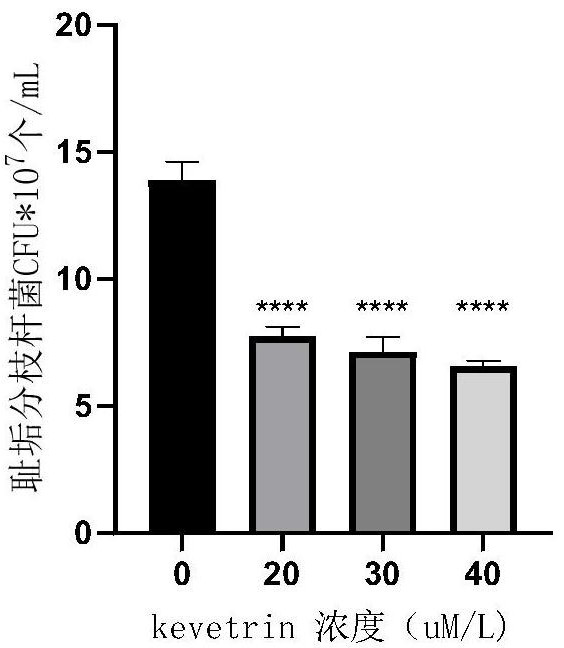 Application of 4-isothiourea butyronitrile hydrochloride in treatment of mycobacterial infection