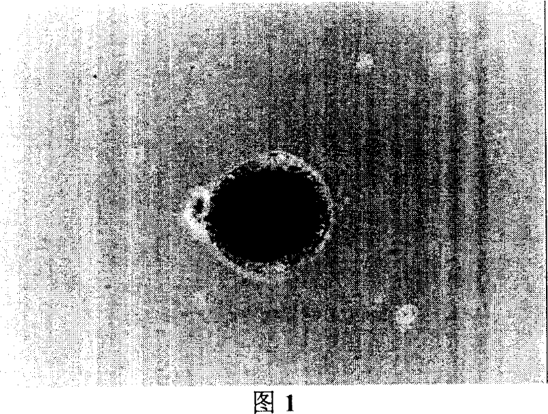 Method for inducing liver cell from human embryonic stem cells