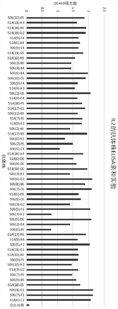 Interleukin 2 binding molecule, and derivative, kit, production method and use of interleukin 2 binding molecule