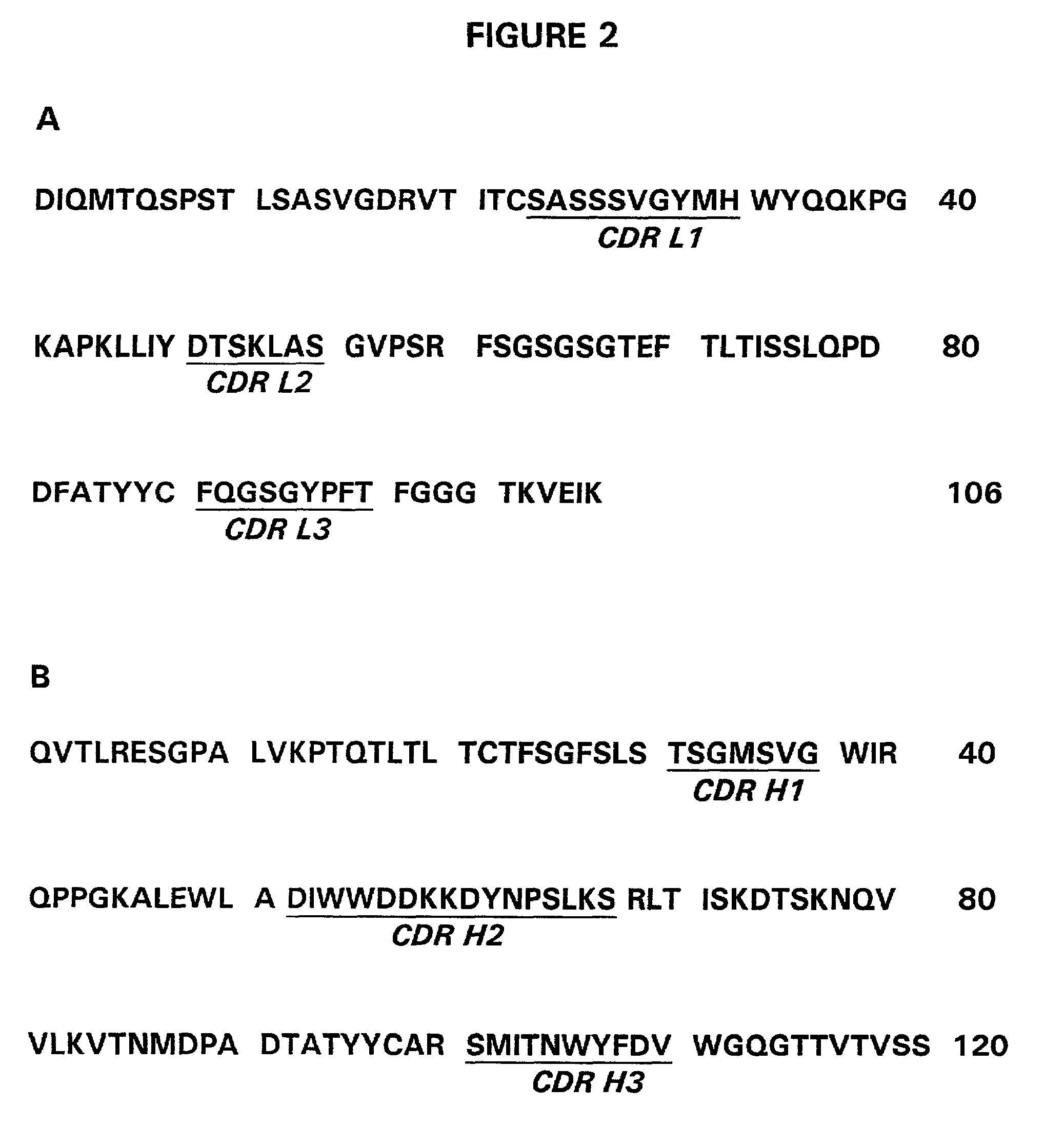 High potency recombinant antibodies and method for producing them
