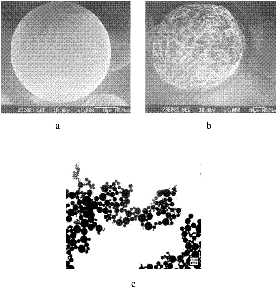 Protein-medicament-carrying PLGA composite microspheres and preparation method thereof