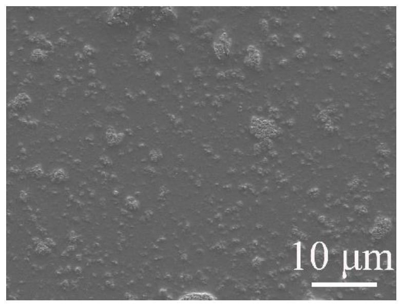 Long-acting antibacterial and anticoagulant material as well as preparation method and application thereof