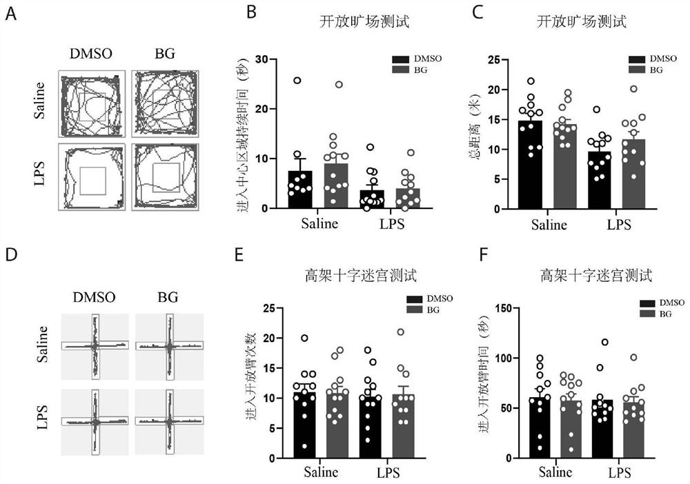 Application of bergapten in treatment of depression