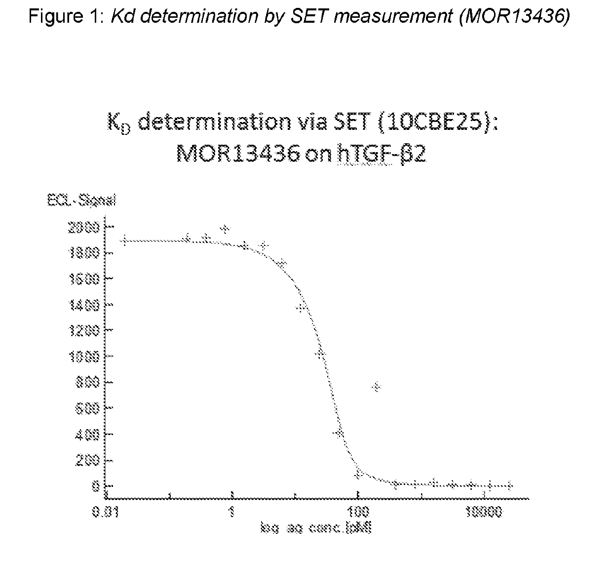 TGFbeta 2 Antibodies