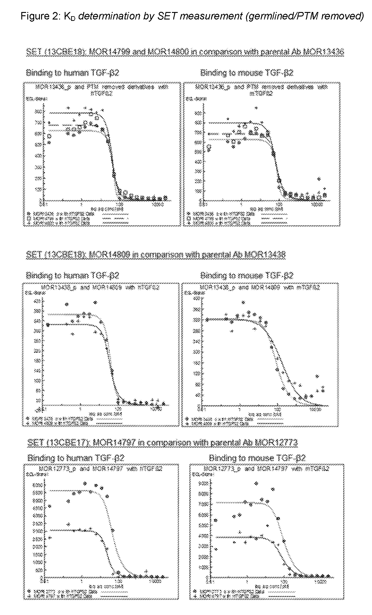 TGFbeta 2 Antibodies