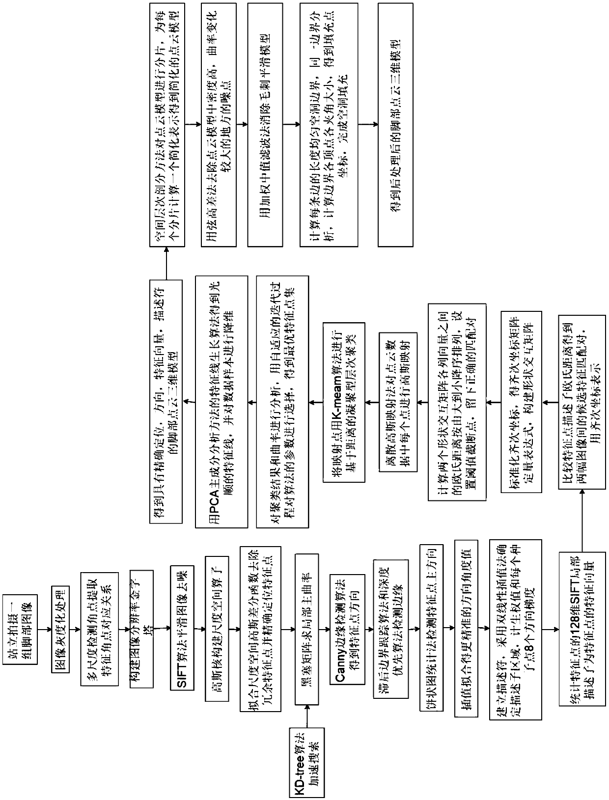 Reconstruction shoe tree model detecting method and system