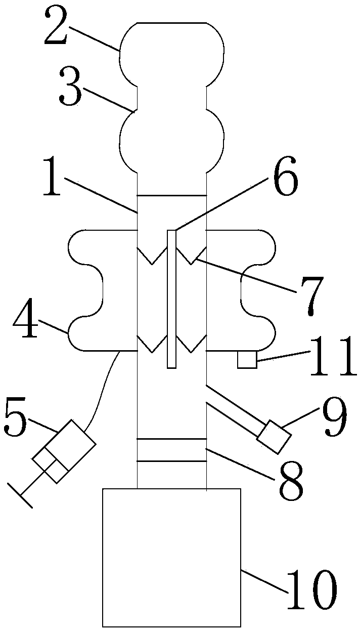 Anorectal drainage device with supporting function