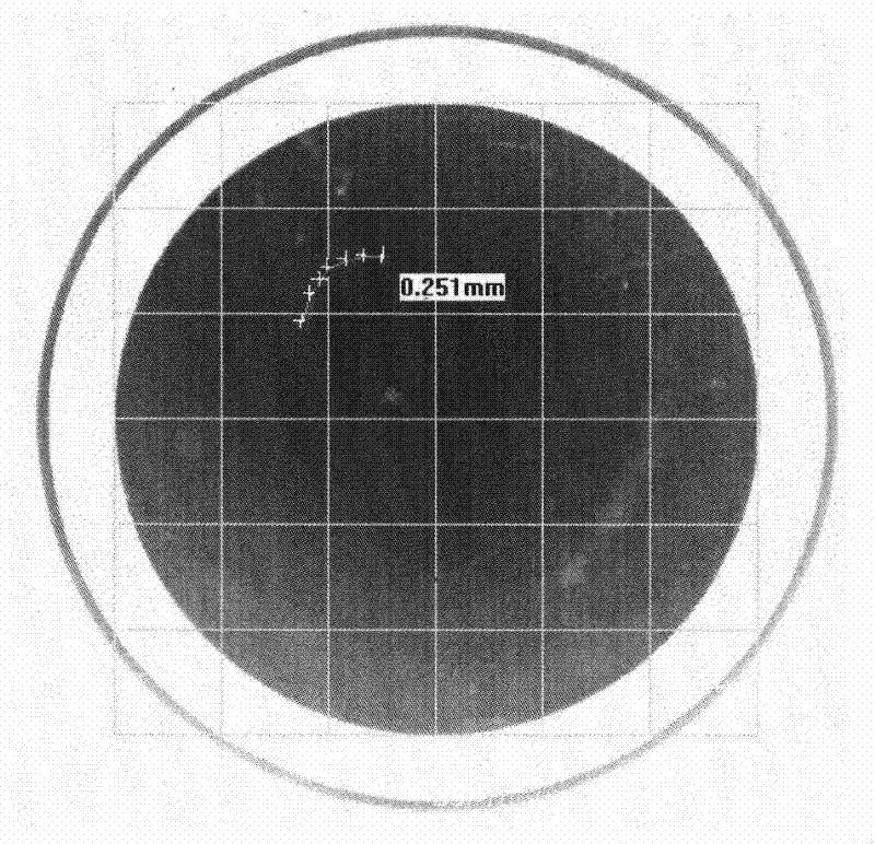 Sample detection method in Howard fungus measurement method for canned food