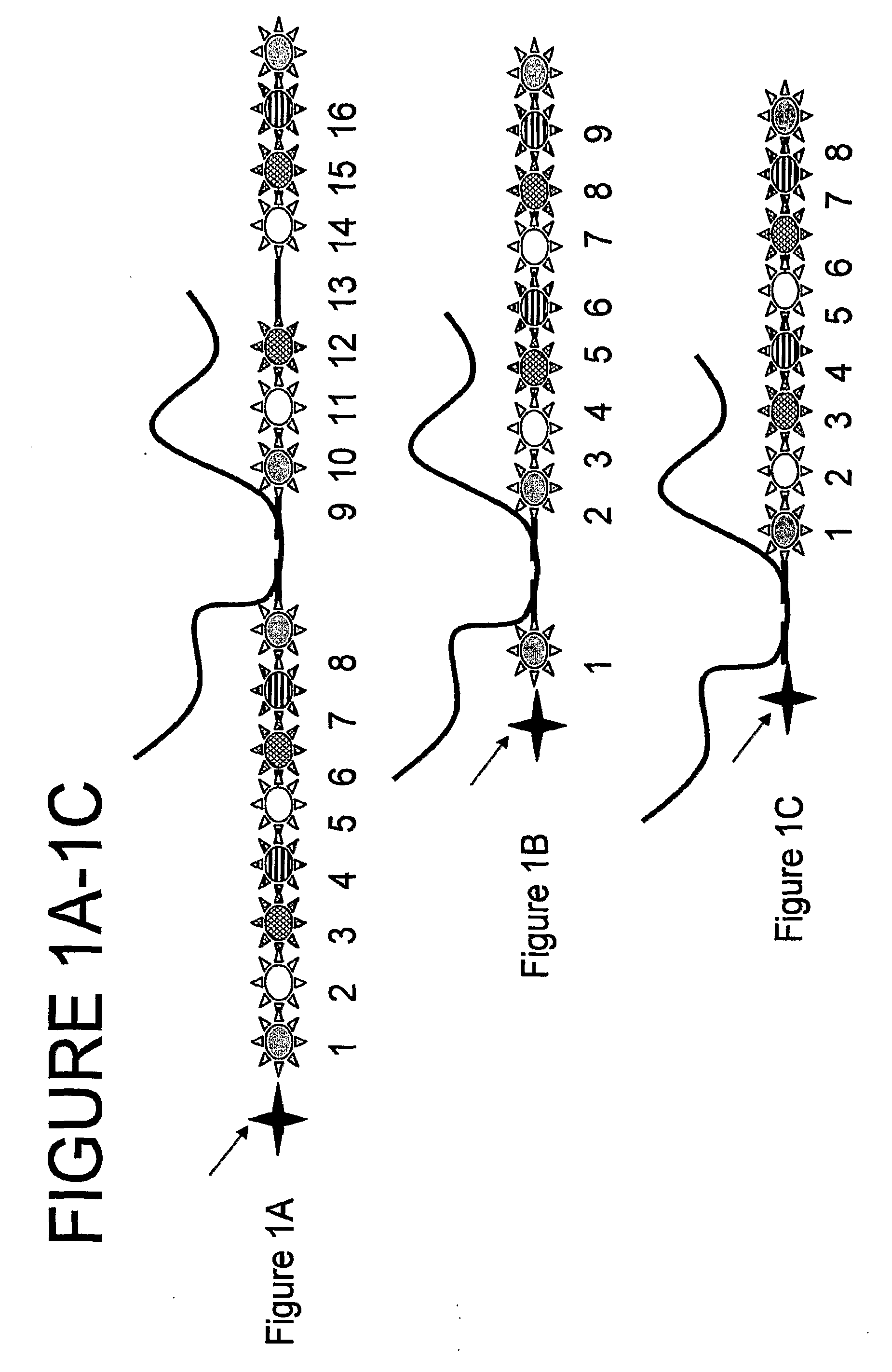 Nanoreporters and methods of manufacturing and use thereof