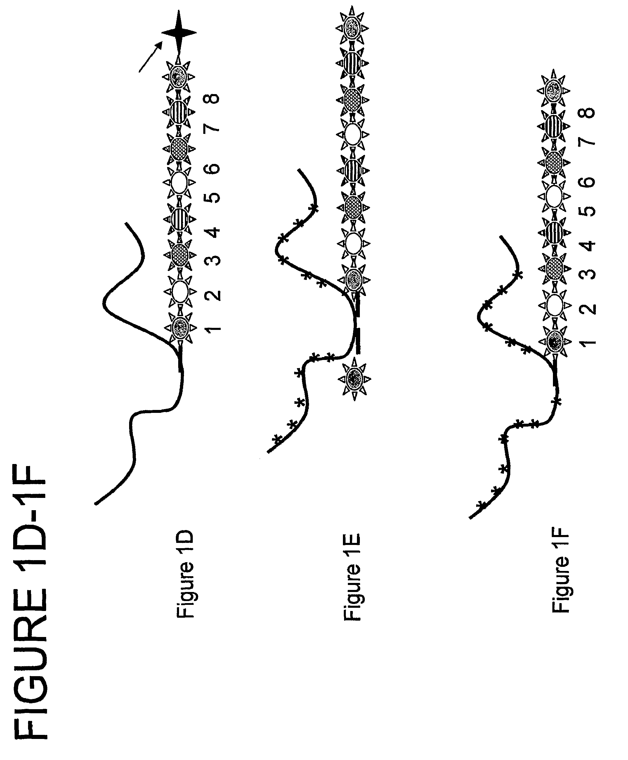 Nanoreporters and methods of manufacturing and use thereof