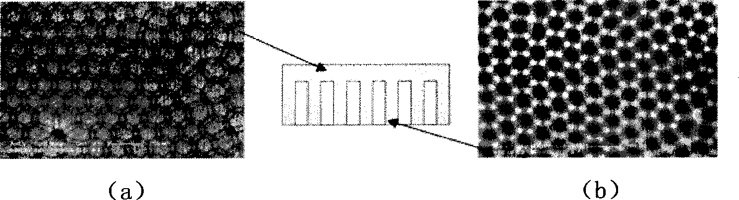 Method for producing antireflection film of subwavelength structure