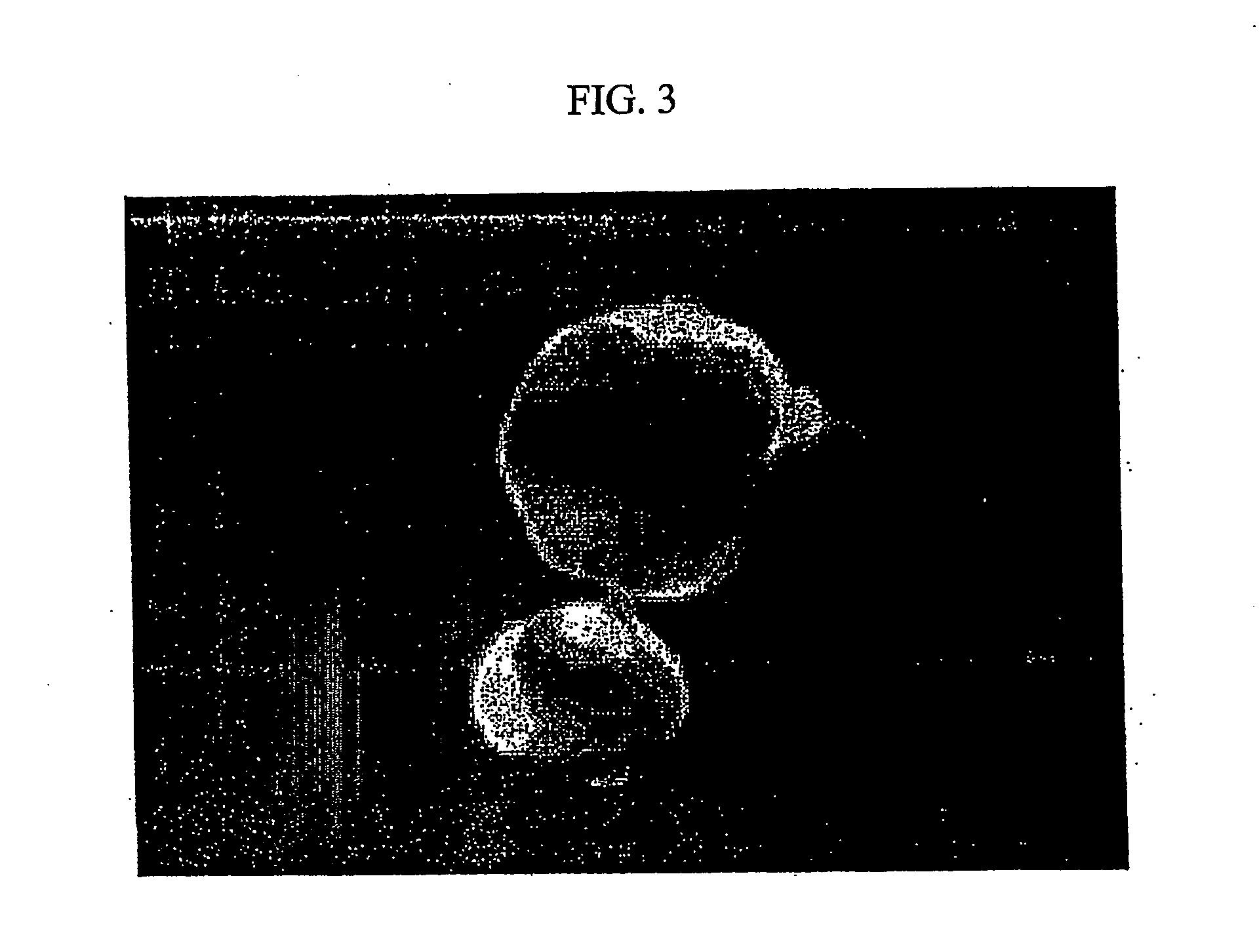 "Gfp-transfected clon pig, gt knock-out clon pig and methods for productions thereof