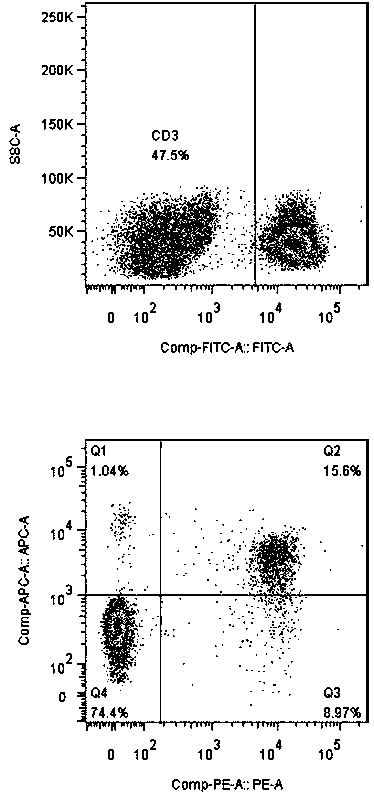 Method for in vitro multiplication culture of NK cells
